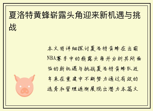 夏洛特黄蜂崭露头角迎来新机遇与挑战