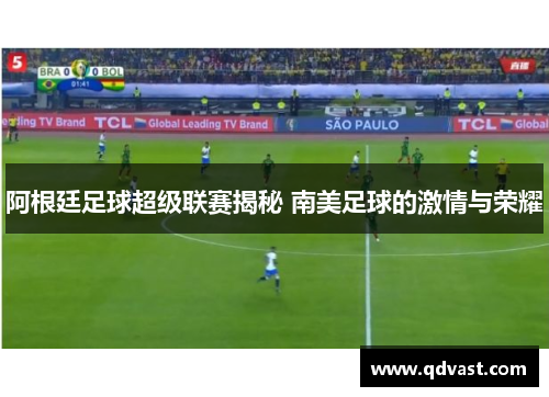 阿根廷足球超级联赛揭秘 南美足球的激情与荣耀